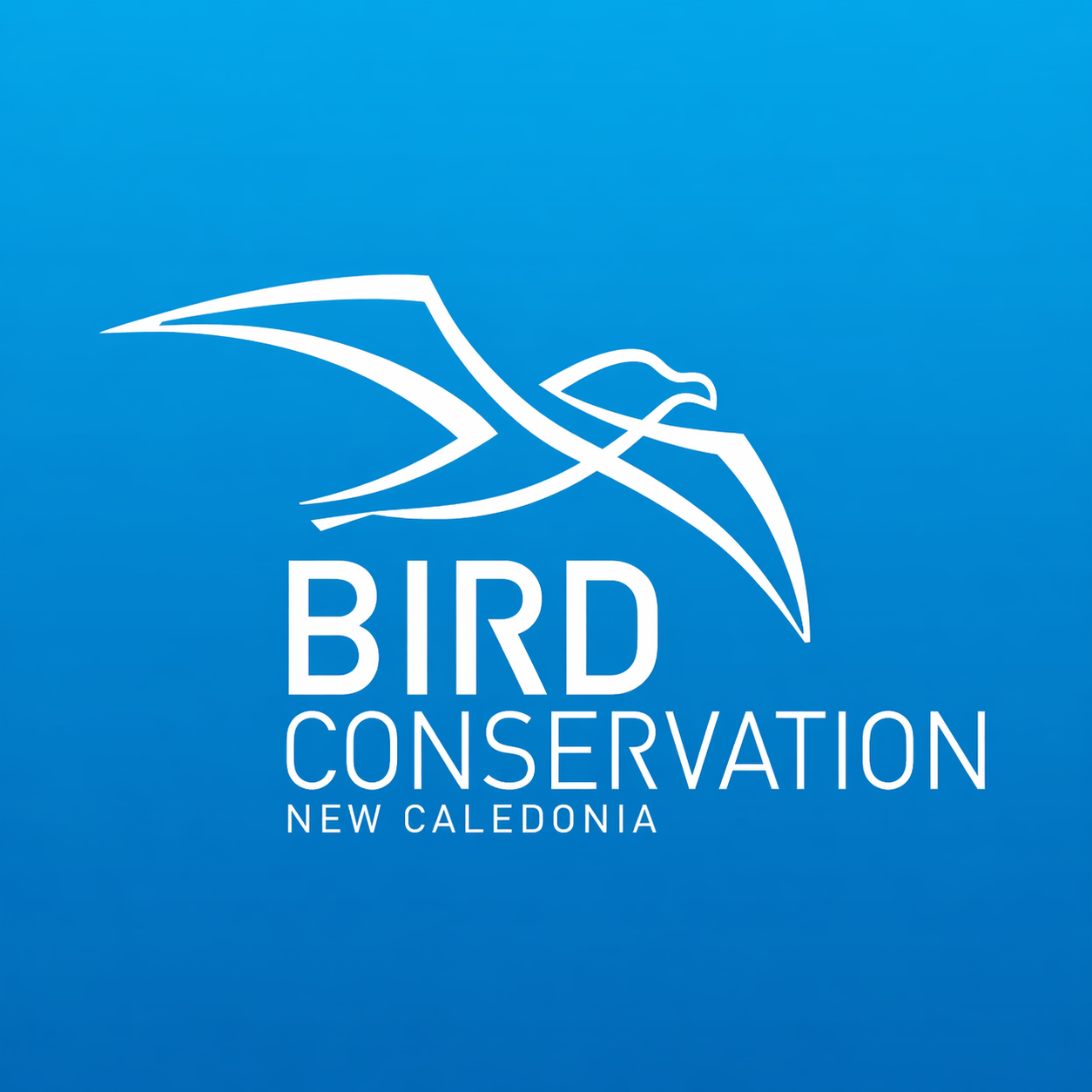 Bird Conservation New Caledonia